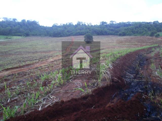 #SI5239 - Sítio para Venda em Ribeirão Bonito - SP - 2