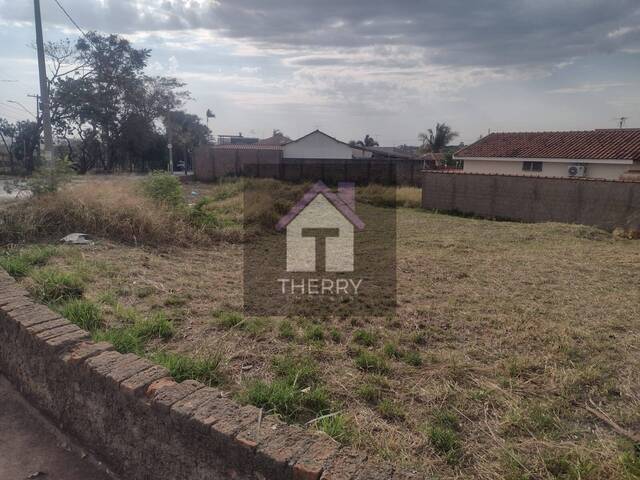 #TE5332 - Área para Venda em Araraquara - SP - 3