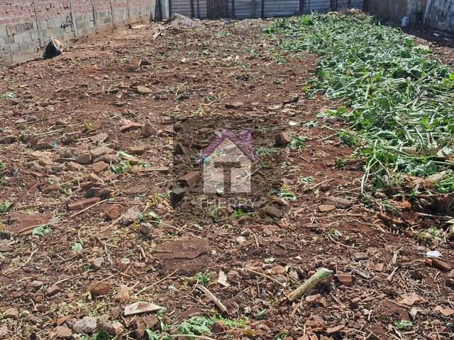 Área para Venda em Araraquara - 4