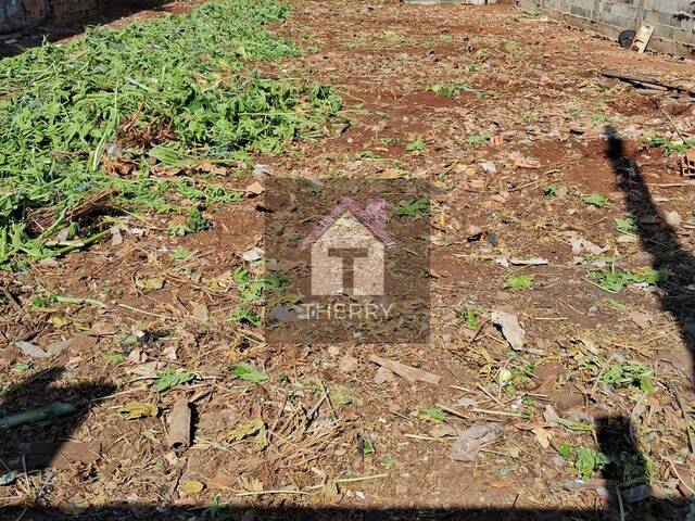 Área para Venda em Araraquara - 5