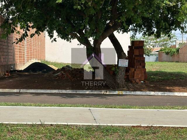 #PE5409 - Terreno para Venda em Borborema - SP - 1