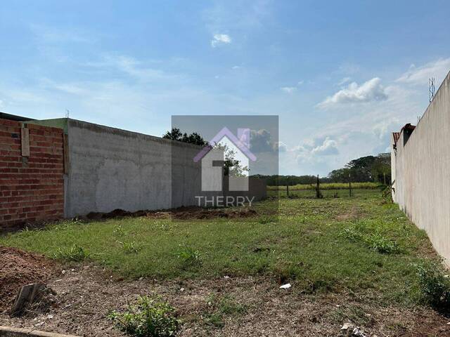 #PE5411 - Terreno para Venda em Borborema - SP - 1