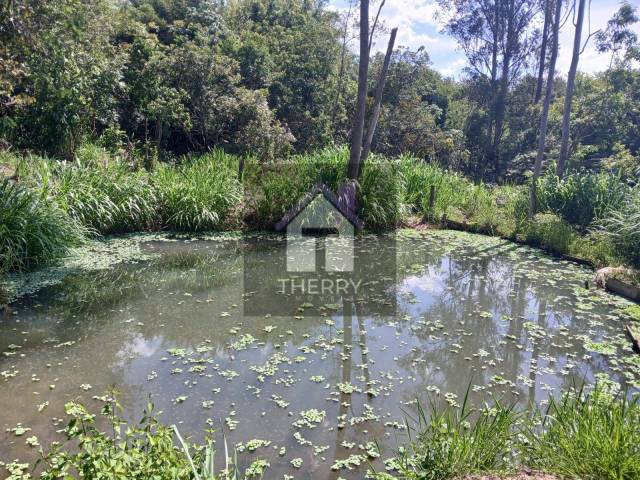 #SI5485 - Sítio para Venda em Araraquara - SP - 3