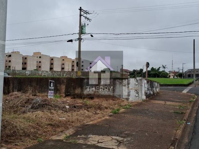 Terreno para Venda em Araraquara - 4