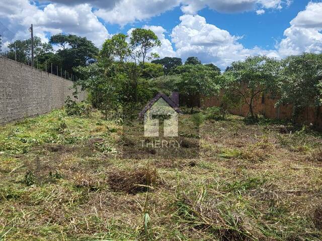 #CH0082 - Chácara para Venda em Araraquara - SP - 3