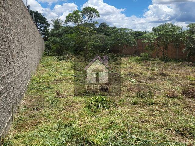 Chácara para Venda em Araraquara - 5