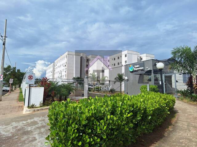 #AP5613 - Apartamento para Venda em Araraquara - SP - 1