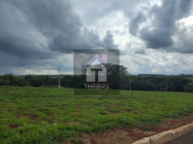 #TE5734 - Terreno para Venda em Bariri - SP - 1