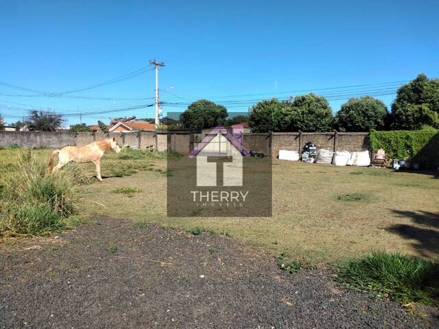 Casa para Venda em Araraquara - 3