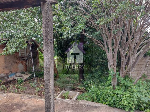 Casa para Venda em Araraquara - 3