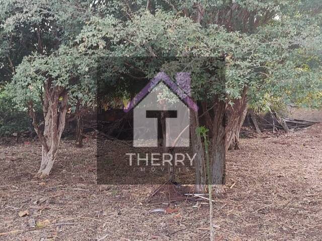 Casa para Venda em Araraquara - 4