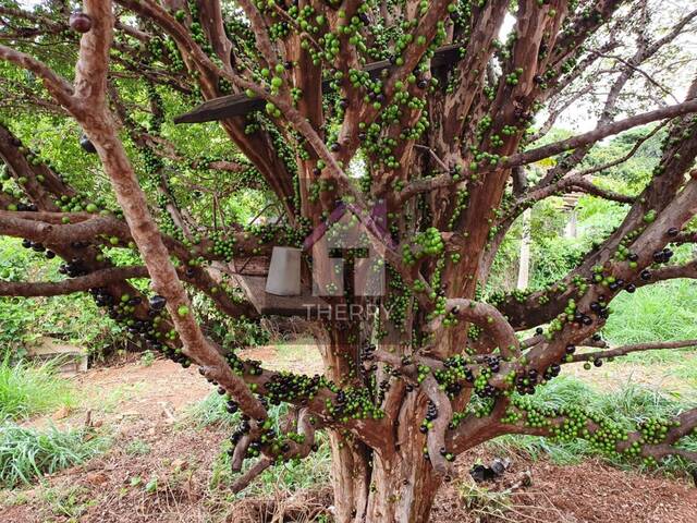 Terreno para Venda em Araraquara - 2