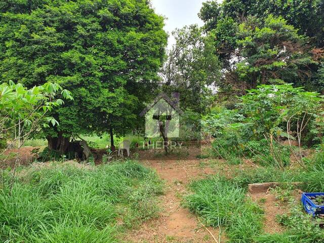 Terreno para Venda em Araraquara - 3