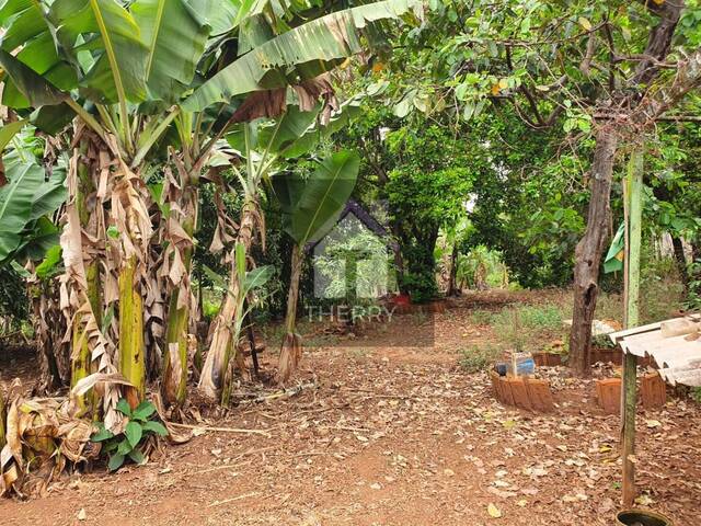 Terreno para Venda em Araraquara - 5