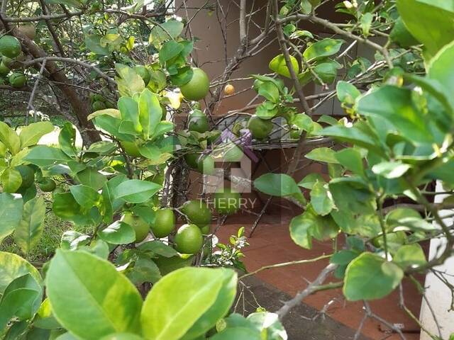 Chácara para Venda em Araraquara - 3