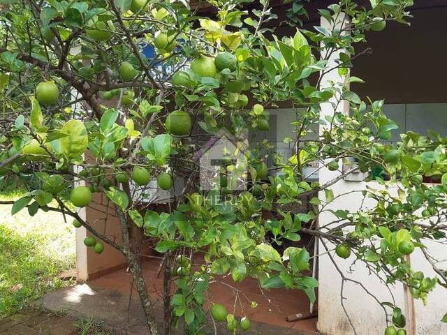 Chácara para Venda em Araraquara - 5