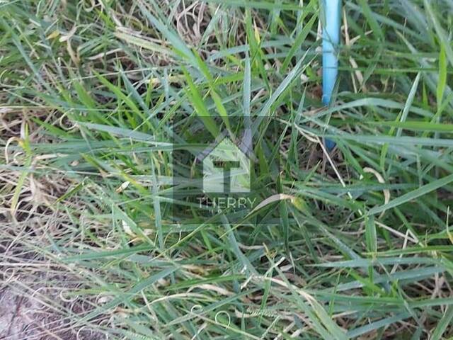 Chácara para Venda em Araraquara - 3