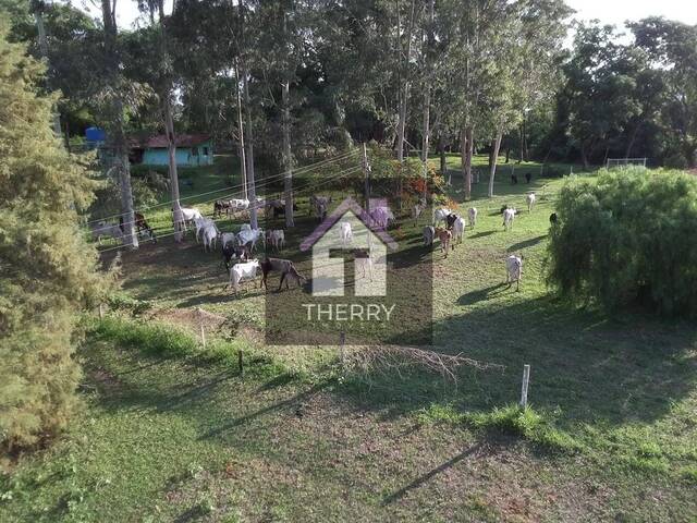 Venda em Distrito de Guarapiranga - Ribeirão Bonito