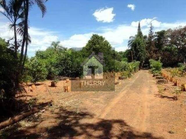 #CH0039 - Chácara para Venda em Araraquara - SP - 3