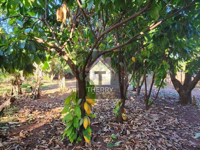 Chácara para Venda em Araraquara - 5