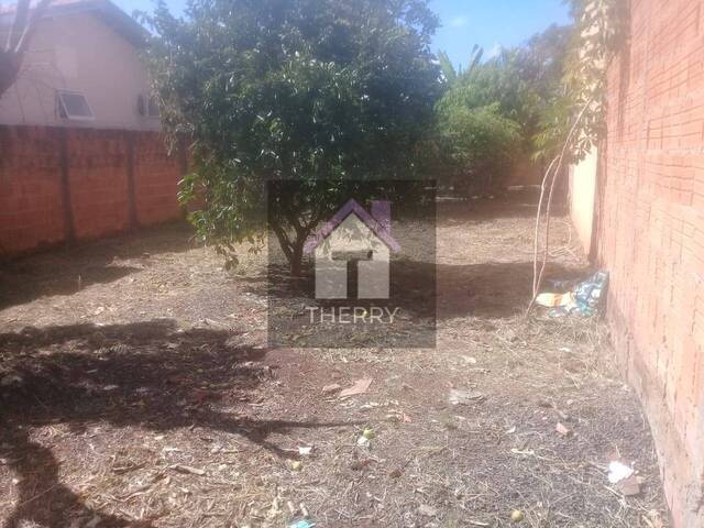 Terreno para Venda em Araraquara - 3