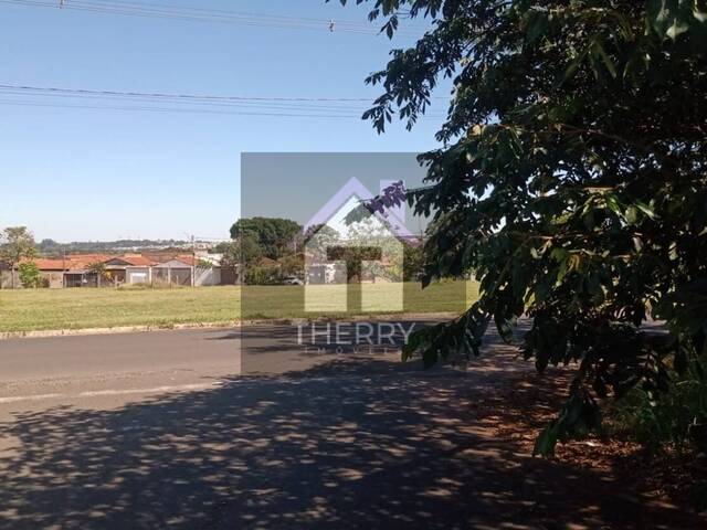 Terreno para Venda em Araraquara - 4