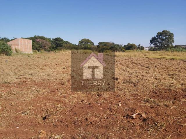 Terreno para Venda em Araraquara - 3