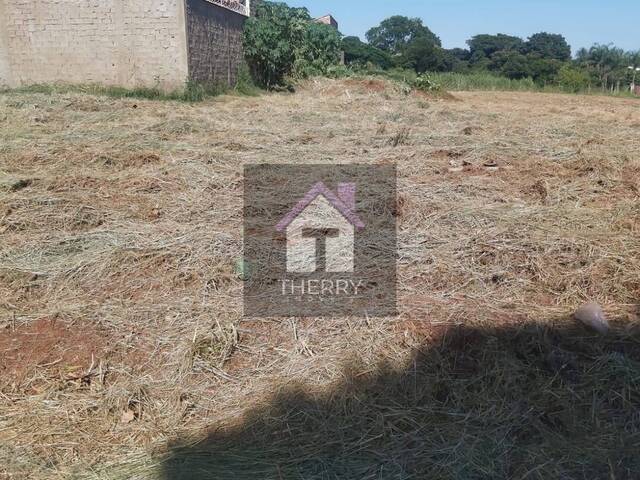 Terreno para Venda em Araraquara - 4