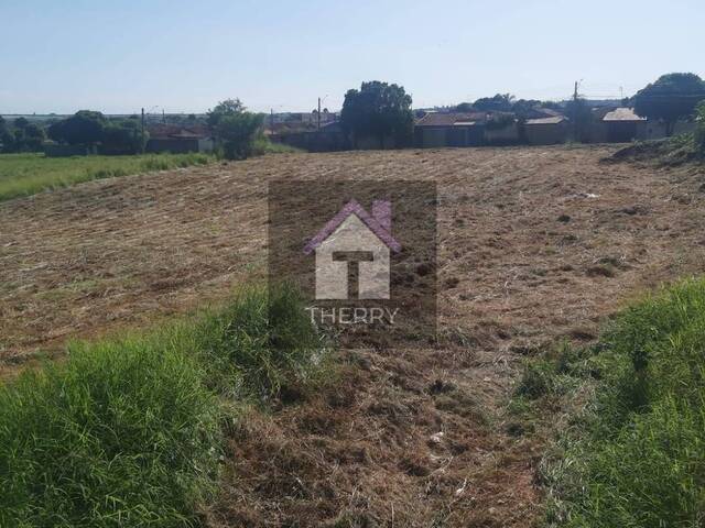 Terreno para Venda em Araraquara - 5