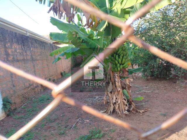 Terreno para Venda em Araraquara - 4