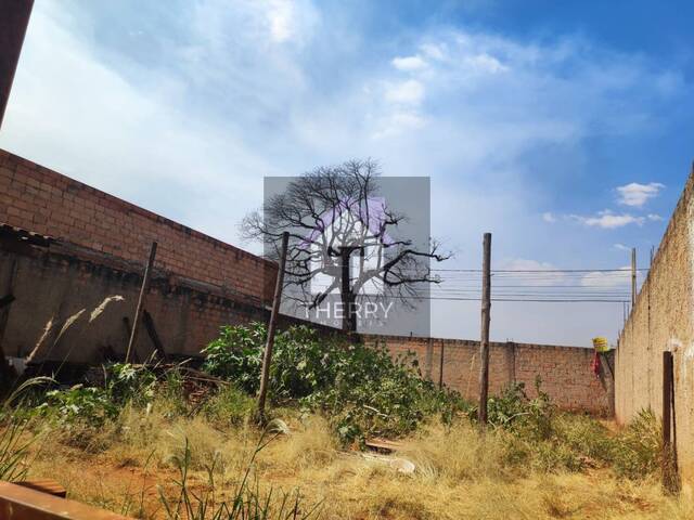 Terreno para Venda em Araraquara - 5