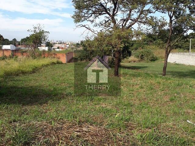 Terreno para Venda em Araraquara - 2