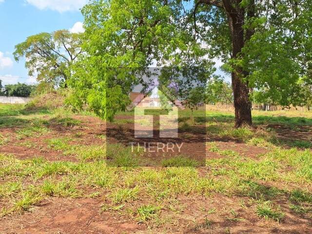 Terreno para Venda em Araraquara - 3