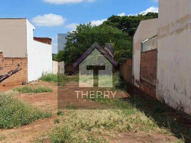 Terreno para Venda em Araraquara - 3