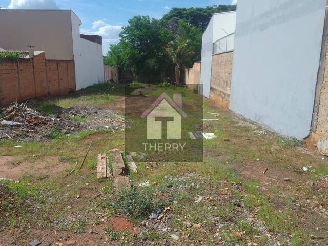 Terreno para Venda em Araraquara - 4
