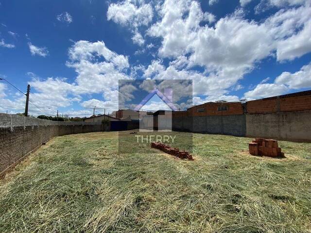 Terreno para Venda em Araraquara - 3