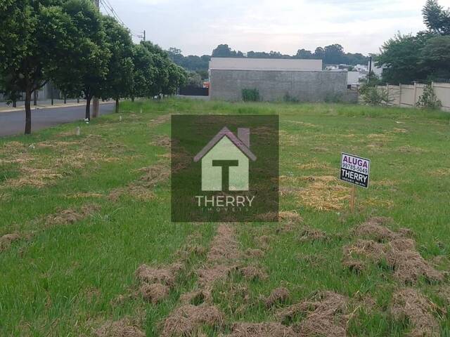 Terreno para Locação em Araraquara - 3