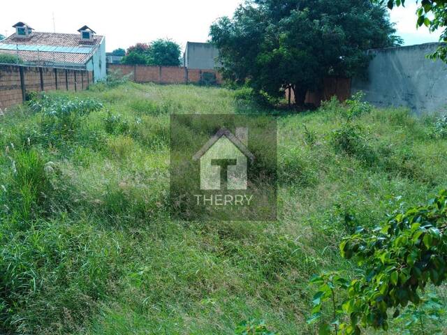 Terreno para Venda em Araraquara - 3