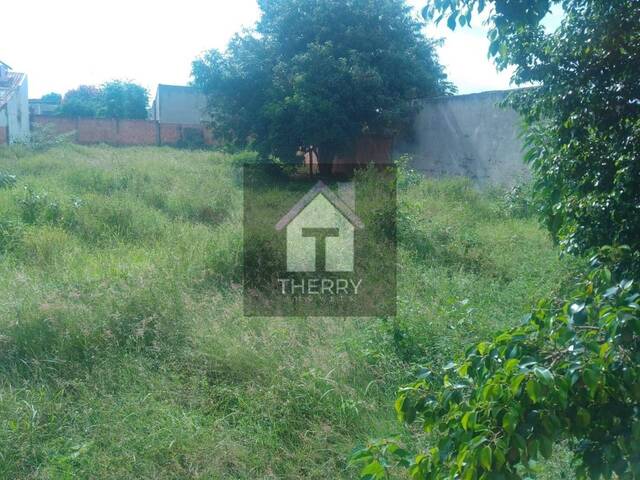 Terreno para Venda em Araraquara - 5