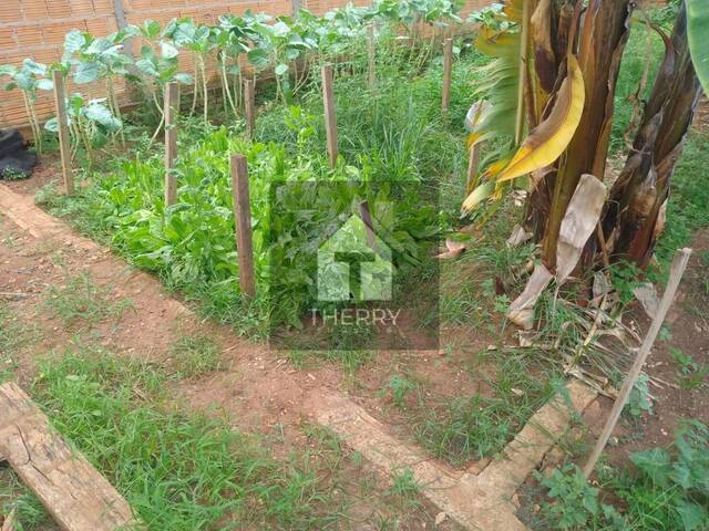 Terreno para Venda em Araraquara - 4