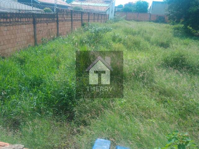 Terreno para Venda em Araraquara - 4