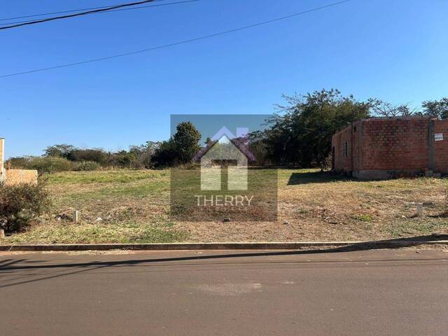 Terreno para Venda em Araraquara - 3