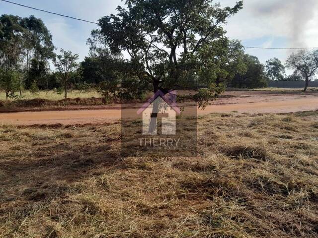 Terreno para Venda em Araraquara - 4