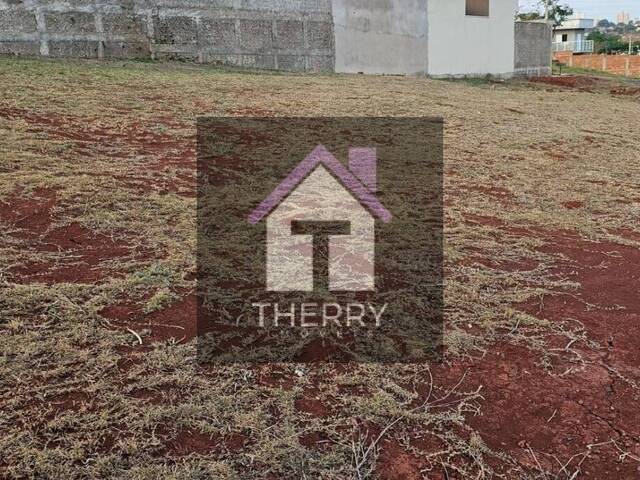 Terreno para Venda em Araraquara - 4