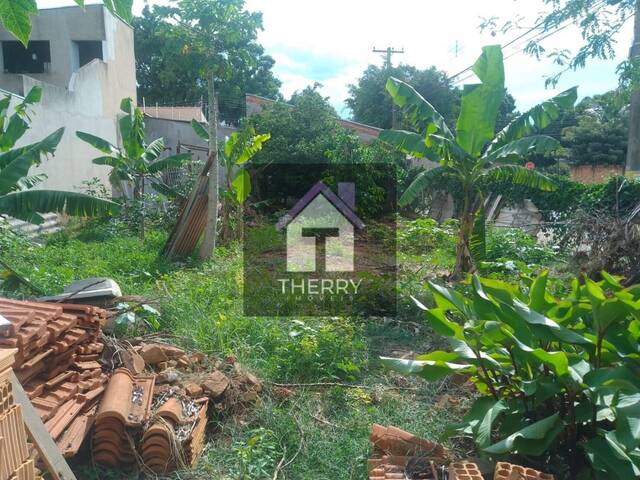 #TE0303 - Terreno para Venda em Araraquara - SP
