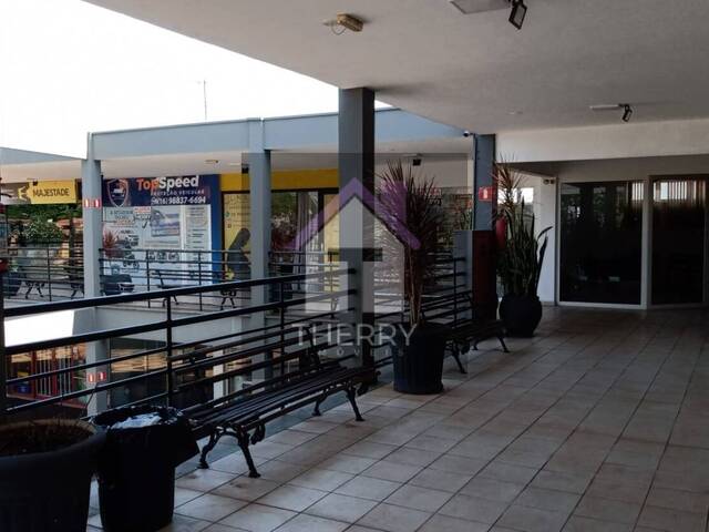 #SA5665 - Sala para Locação em Araraquara - SP - 3